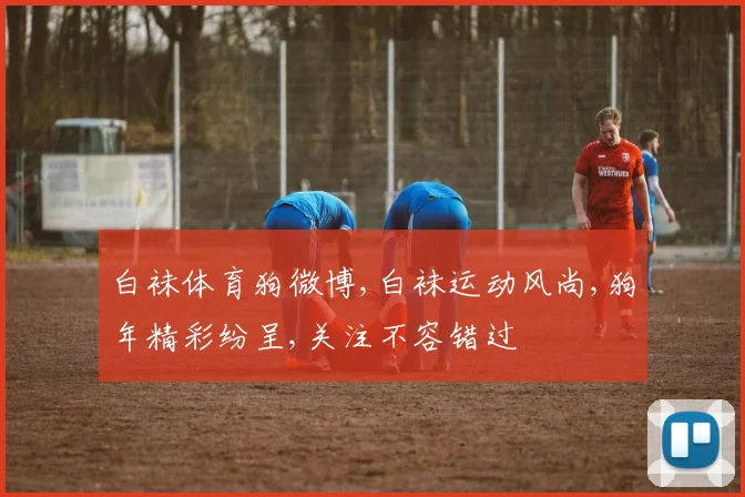 白袜体育狗微博,白袜运动风尚,狗年精彩纷呈,关注不容错过