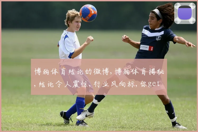 博狗体育结论的微博,博狗体育揭秘,结论令人震惊,行业风向标,你get了吗