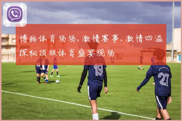 博狗体育场场,激情赛事,激情四溢探秘顶级体育盛宴现场