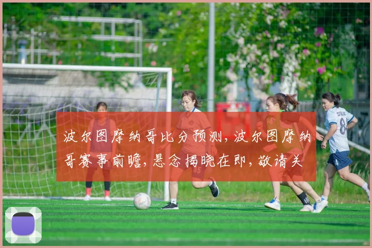 波尔图摩纳哥比分预测,波尔图摩纳哥赛事前瞻,悬念揭晓在即,敬请关注